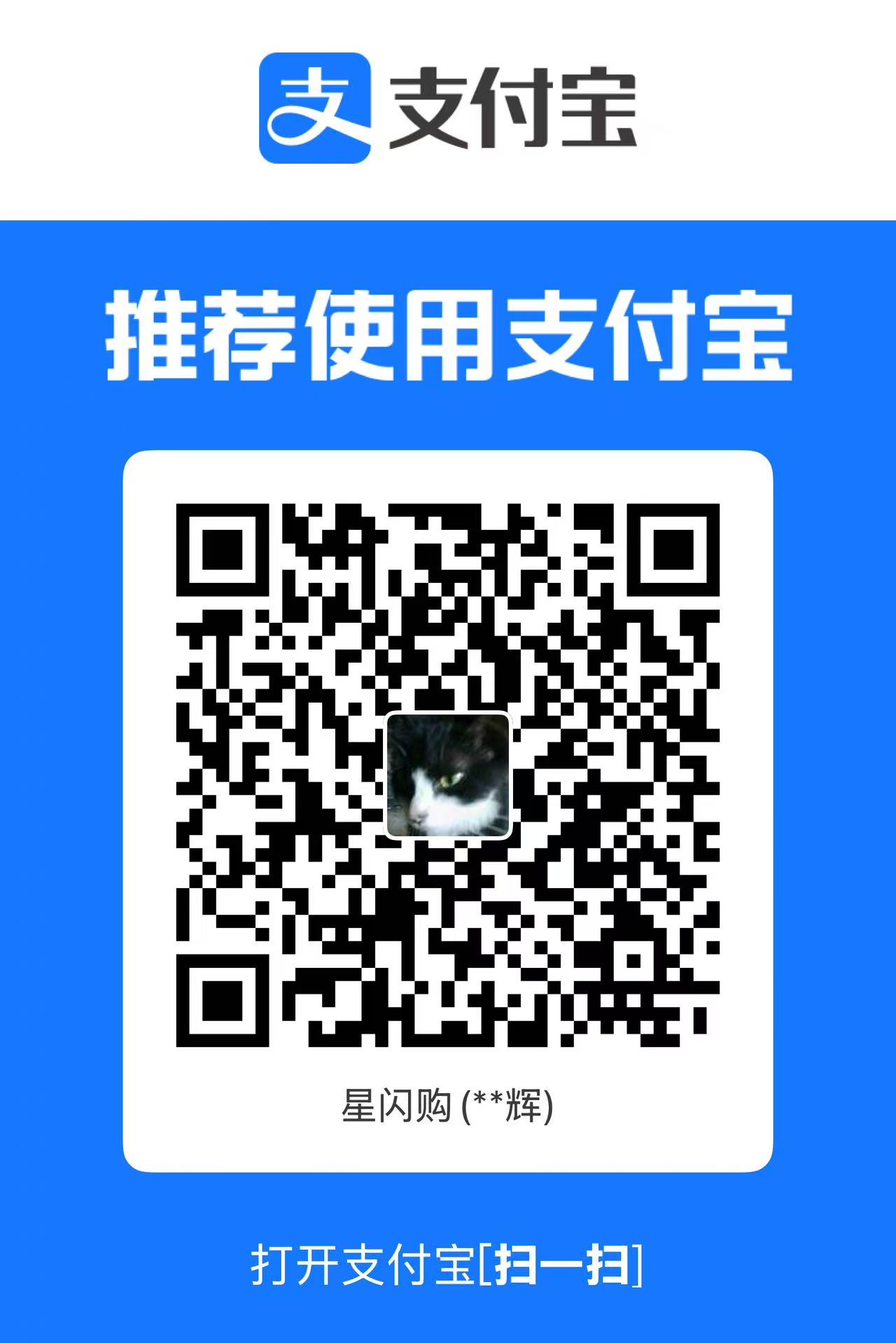 Alipay QR Code